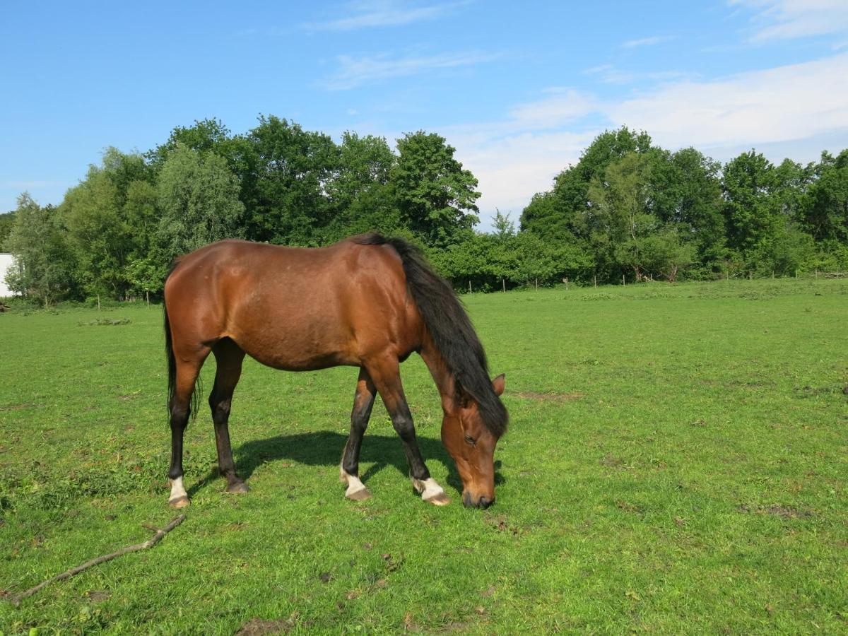 Bed & Breakfast Hoeve Chartreuse *